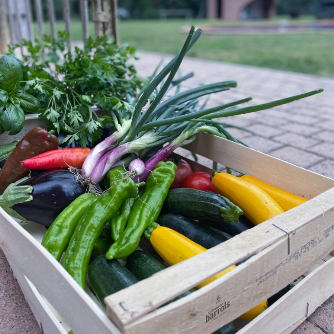 potager-circuit-court